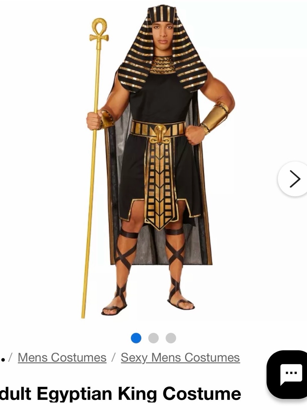 Halloween men’s costume Egyptian King Costume in Black & Gold